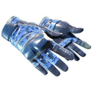 ★ Moto Gloves | Polygon