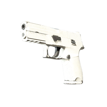 360fx360f 31 1