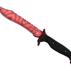 ST ★ Bowie Knife | Slaughter