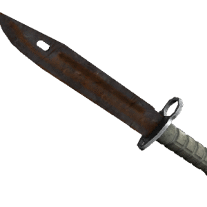 ★ Bayonet | Rust Coat