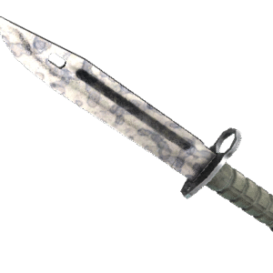 ★ Bayonet | Stained