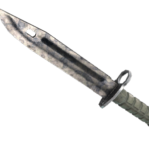 ★ Bayonet | Stained